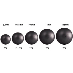 Ss 스타-포환 3kg,4kg,5kg,6kg +가방포함 포환던지기 ZR450/경기용/육상용품/투포환/초등용/중등용/고등용