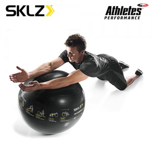 Ss 스킬스-트레이너볼 스포츠퍼포먼스(TRAINERball® Sport Performance)APD-TB-SPT-04 약65cm 약1.2kg 검정